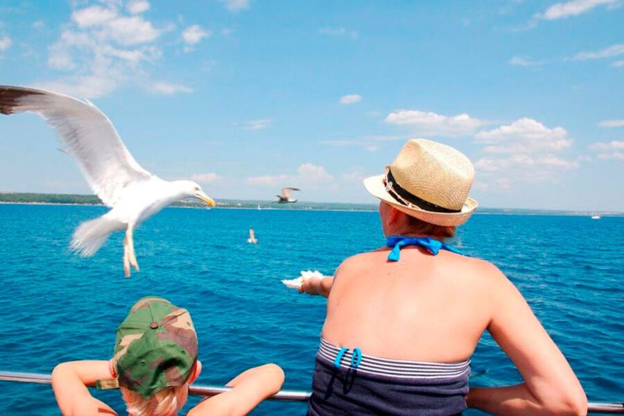 Pula: National Park Brijuni Island Visit & Dolphin Cruise - Dinner, drinks, and what the $76 price really covers