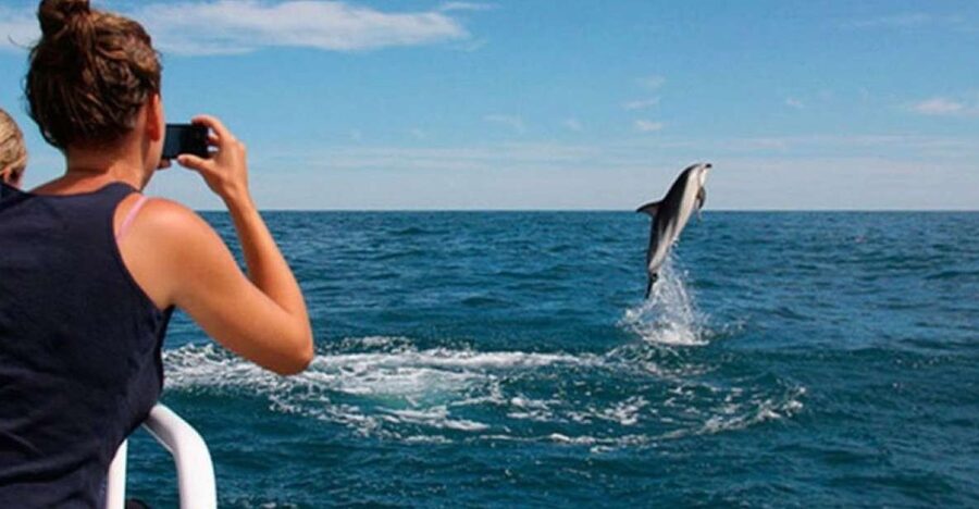 Pula: National Park Brijuni Island Visit & Dolphin Cruise - Leaving Pula for the Brijuni islands