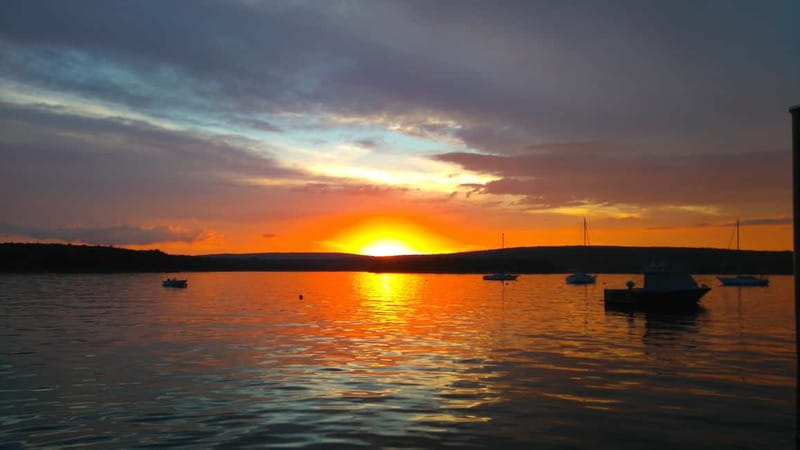 Punat: Plavnik and Krk Islands Private Boat Trip - Sunset timing, children, and dogs