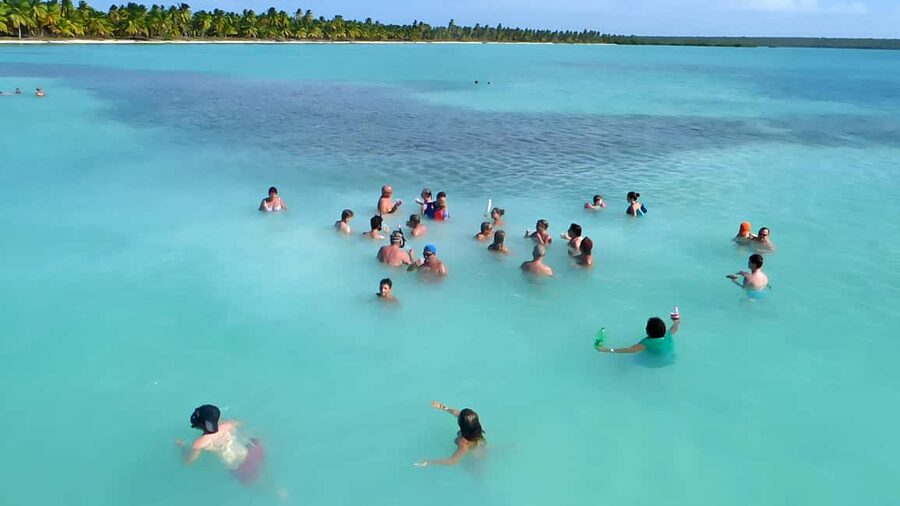 Punta Cana: Catamaran Boat to Saona Island with Buffet Lunch - The natural pool and its starfish