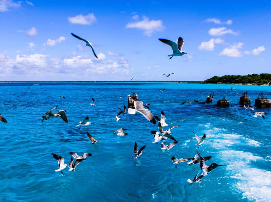 Punta Cana: Catamaran Boat to Saona Island with Buffet Lunch - Three and a half hours on Saona Island