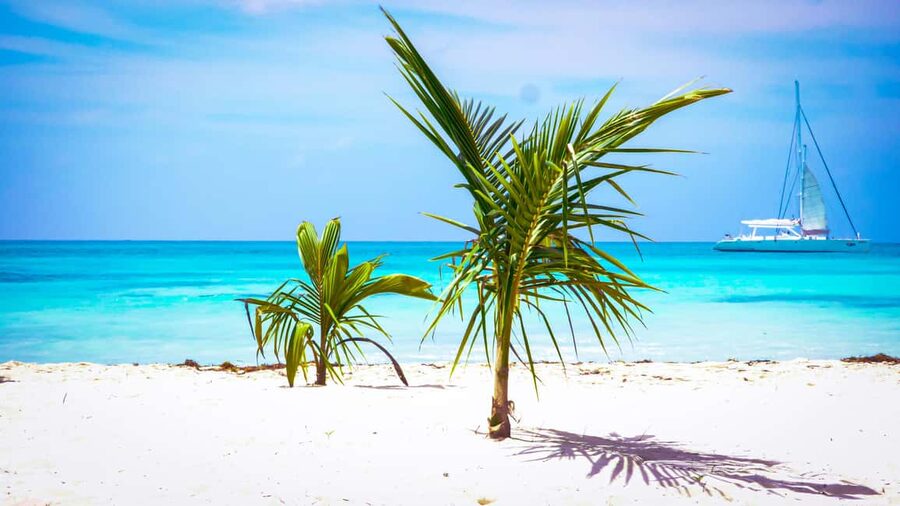 Punta Cana: Catamaran Boat to Saona Island with Buffet Lunch - Is the $82 price good value?