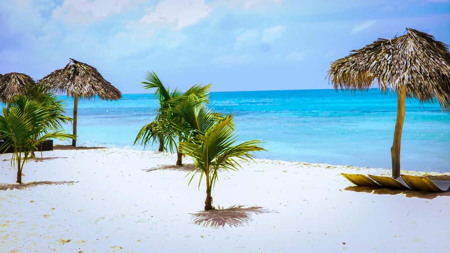 Punta Cana: Catamaran Boat to Saona Island with Buffet Lunch - Should you book it?