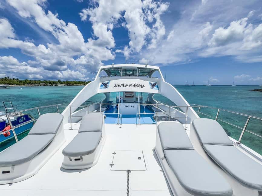 Punta Cana: Exclusive Private Catamaran Tour to Saona Island – VIP Service - Key points to know before booking