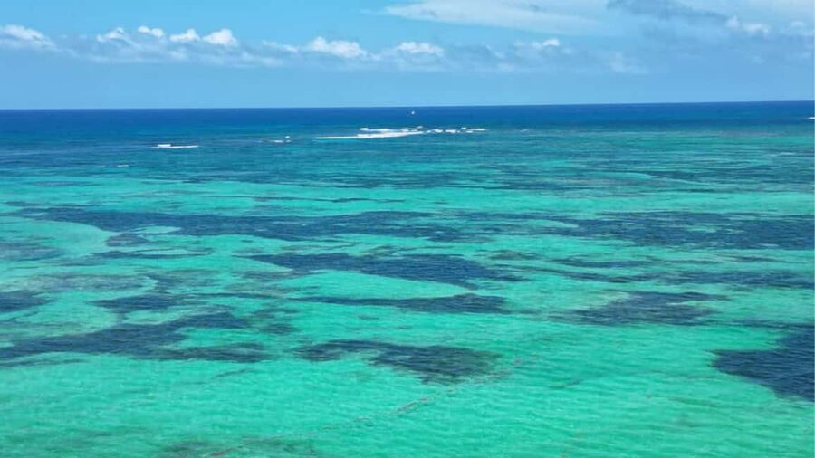 Punta Cana: Exclusive Private Catamaran Tour to Saona Island – VIP Service - Is $1,590 a fair price for five people?