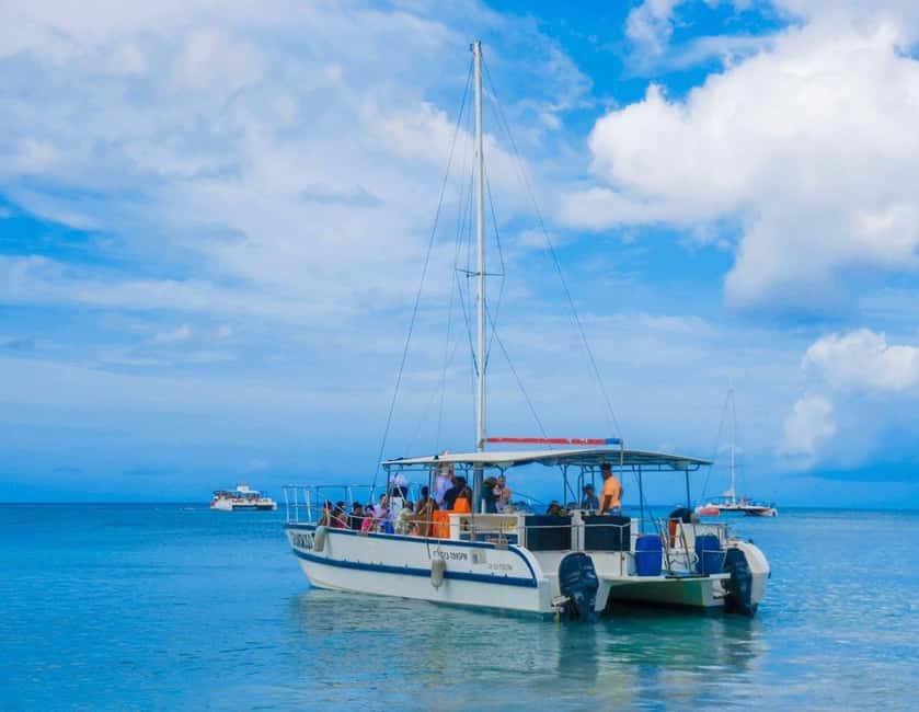 Punta Cana: Exclusive Private Catamaran Tour to Saona Island – VIP Service - Should you book this Saona Island tour?