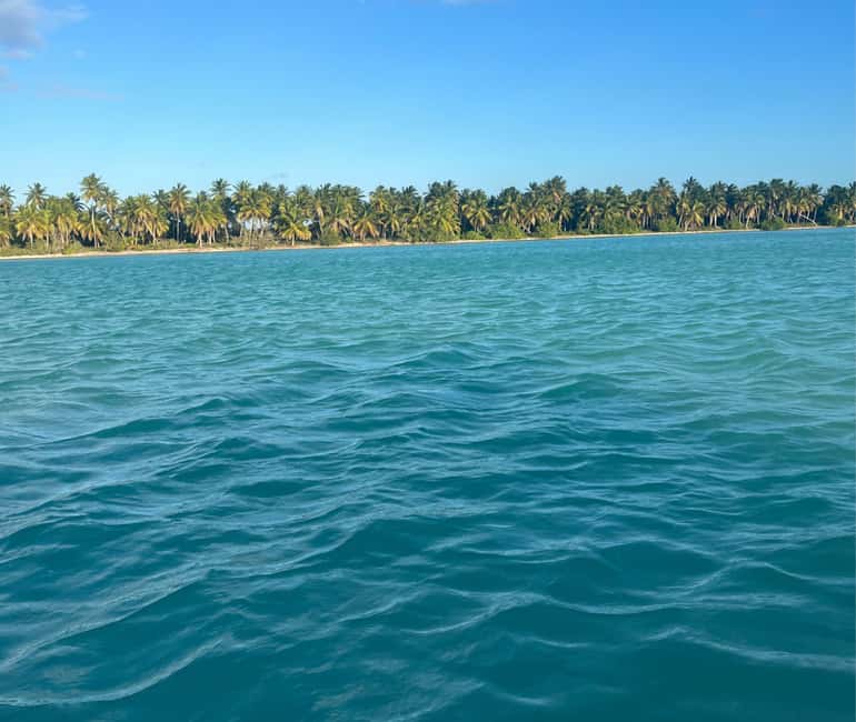 Punta cana: Island Escape to Saona • catamaran & Beach lunch - What the buffet includes