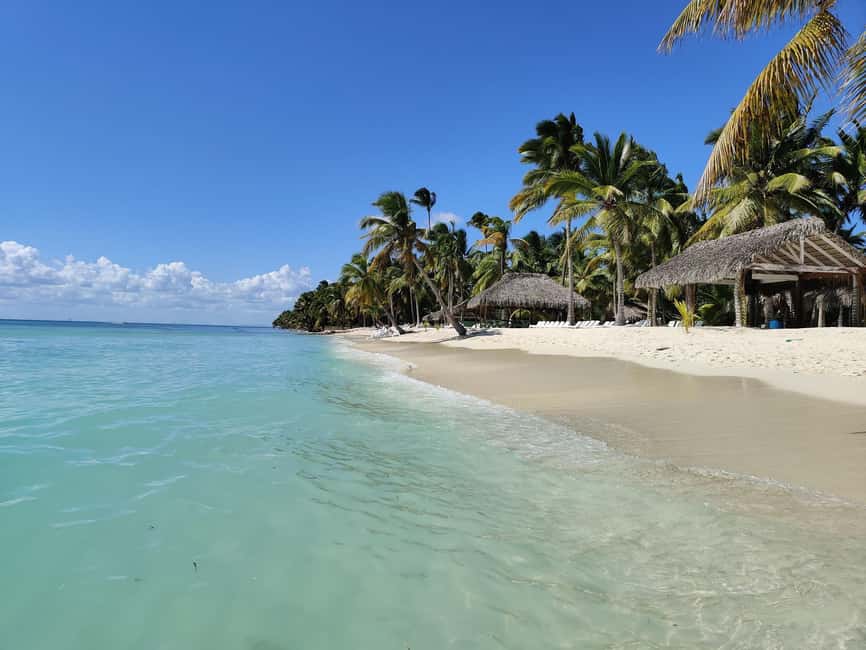 Punta Cana - Santo Domingo: Saona Island VIP Catamaran Tour - Why Saona Island Makes a Strong Day Trip