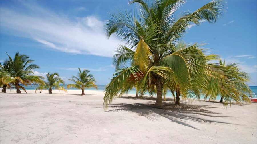 Punta Cana: Saona Island Catamaran Adventure with Lunch - Four hours planned on Saona Island, with less time possible