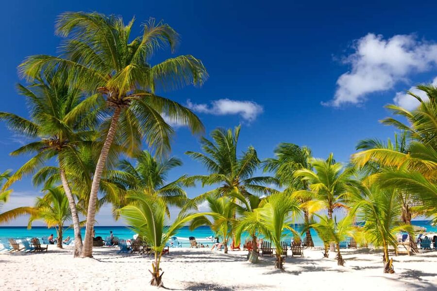 Punta Cana: Saona Island Catamaran Adventure with Lunch - Sailing from Bayahibe toward Saona Island