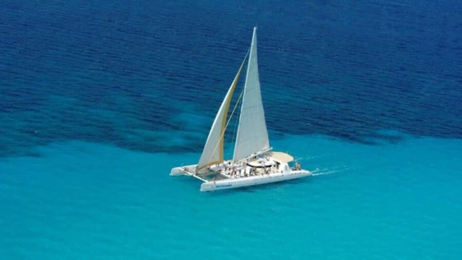 Punta Cana: Saona Island Catamaran Food Drink With Transport - The natural pool and its starfish