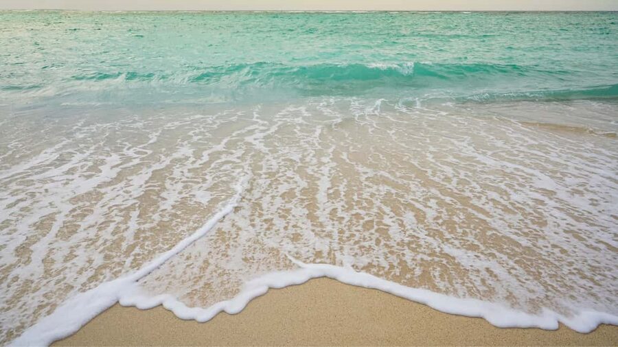 Punta Cana: Saona Island Catamaran Tour with Food & Open Bar - What to bring for a smoother day