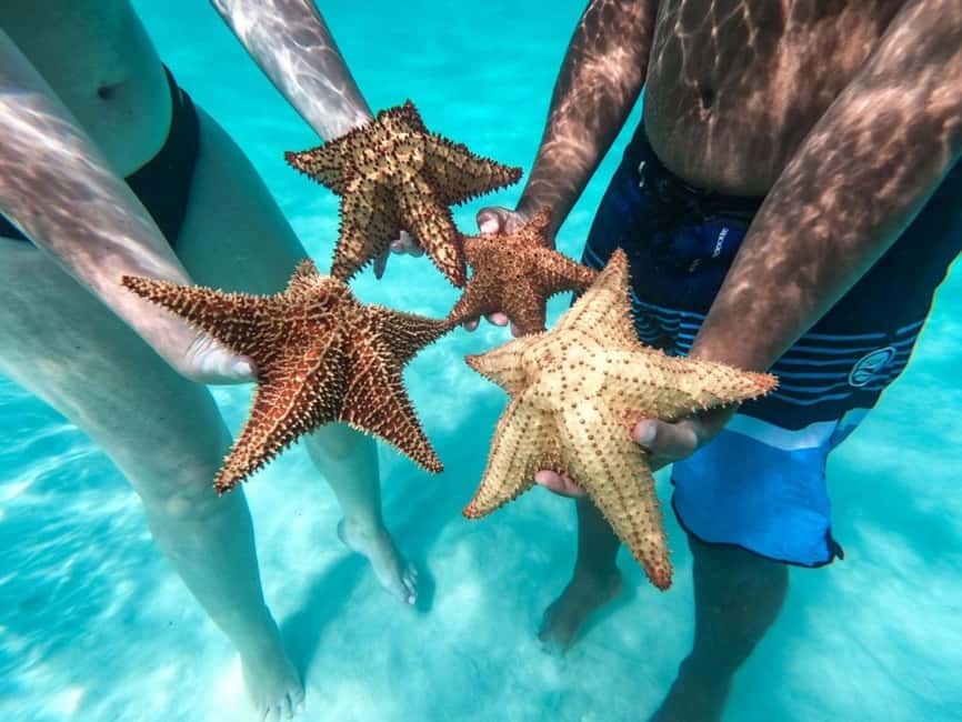 Punta Cana: Saona Island Day Tour and Catamaran Party - Who will enjoy this nine-hour outing