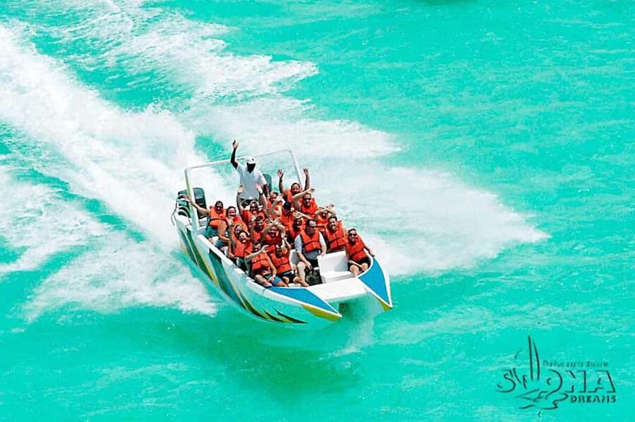 Punta Cana: Saona Island Day Tour and Catamaran Party - Practical ways to make the day easier