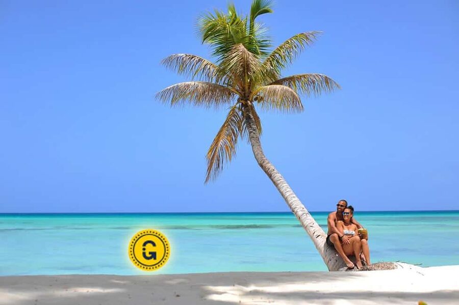 Punta Cana: Saona Island Day Tour and Catamaran Party - The motorboat ride across the Caribbean