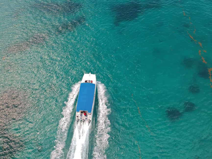 Punta Cana: Saona Island Full-Day All-Inclusive Boat Tour - Guides, photographers, and communication