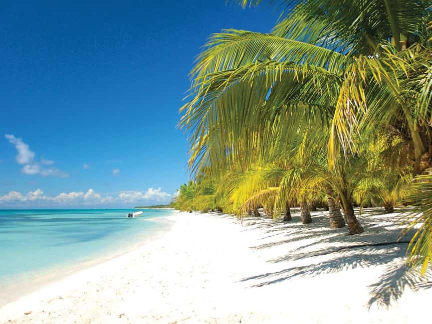 Punta Cana: Saona Island Speedboat and Catamaran Tour - Key points to know before booking