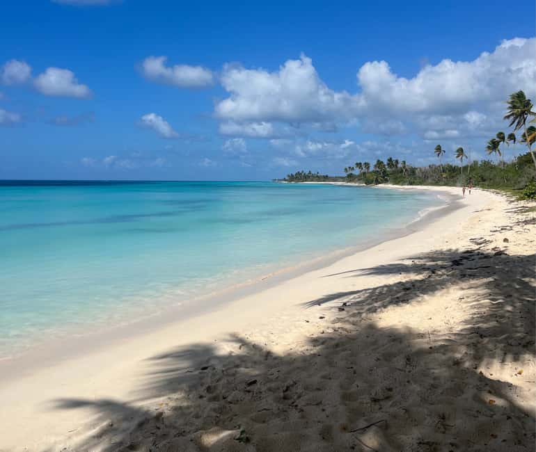 Punta Cana: VIP Private Speedboat Escape to Saona Island - The natural pool and its open bar