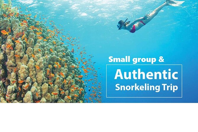 REAL snorkel &island hopping by SPEEDBOAT-EXPLORE CUISINES(MAX12) - May Rut or Gam Ghi for swimming and a break