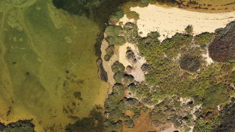 Ria Formosa: Armona and Culatra Islands 3-Hour Boat Tour - From Olhão into the tidal world of Ria Formosa