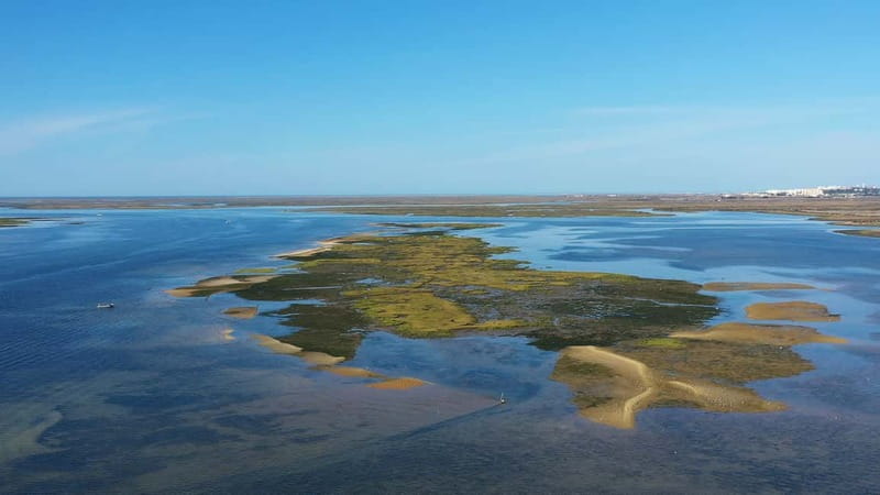Ria Formosa: Armona and Culatra Islands 3-Hour Boat Tour - What the three hours feel like on the water