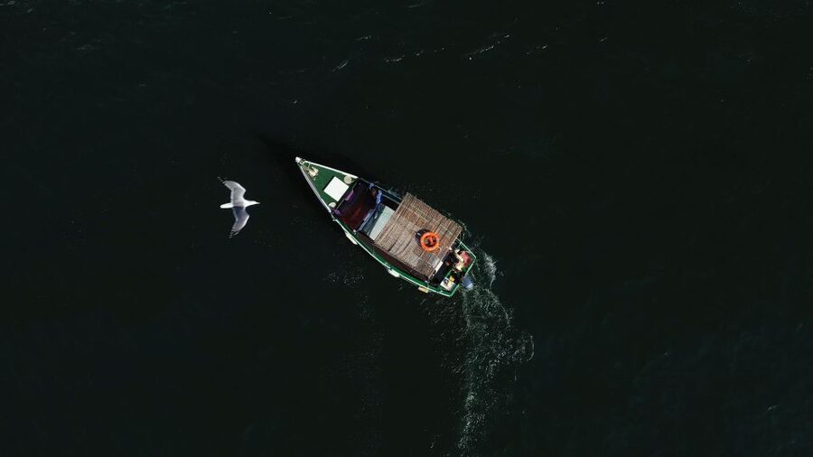 Ria Formosa: Armona and Culatra Islands 3-Hour Boat Tour - Captains who make the difference
