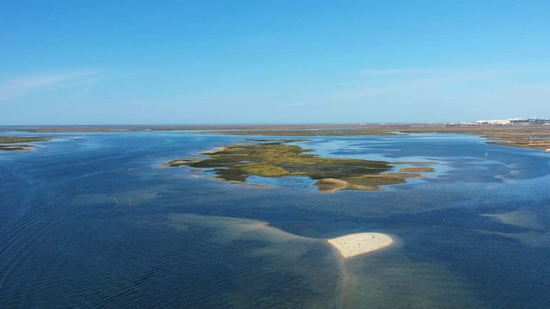 Ria Formosa: Armona and Culatra Islands 3-Hour Boat Tour - Price, group size, and the real value