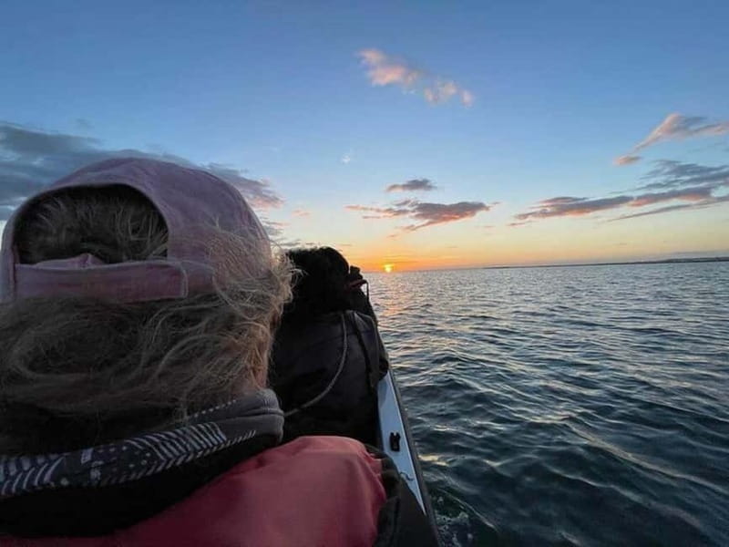 Ria Formosa: Armona and Culatra Islands 3-Hour Boat Tour - Who should book this island cruise