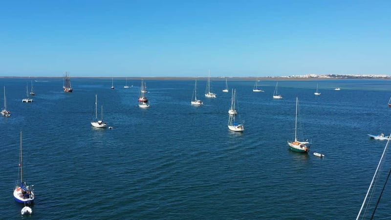 Ria Formosa: Armona and Culatra Islands 3-Hour Boat Tour - Armona, open sand and a slower pace