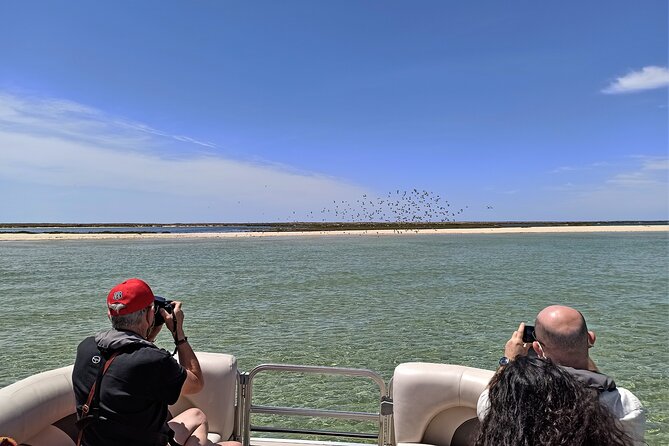Ria Formosa Natural Park and Islands Boat Cruise from Faro - Barreta Island: dunes, shells, and a swim