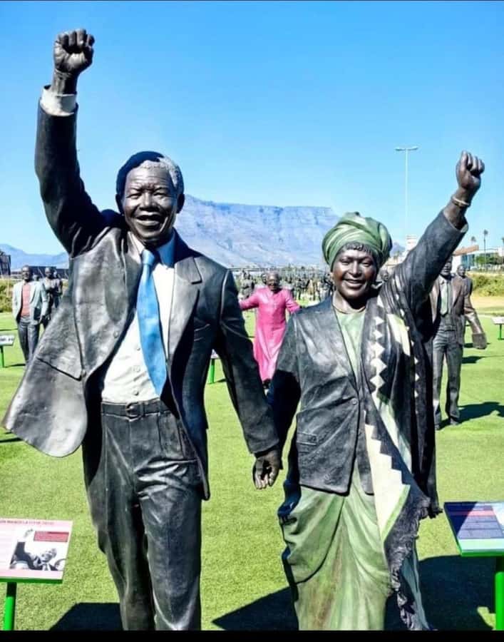 Robben Island Museum Tour with Transfer and Ferry Tickets. - Booking advice for a smoother day