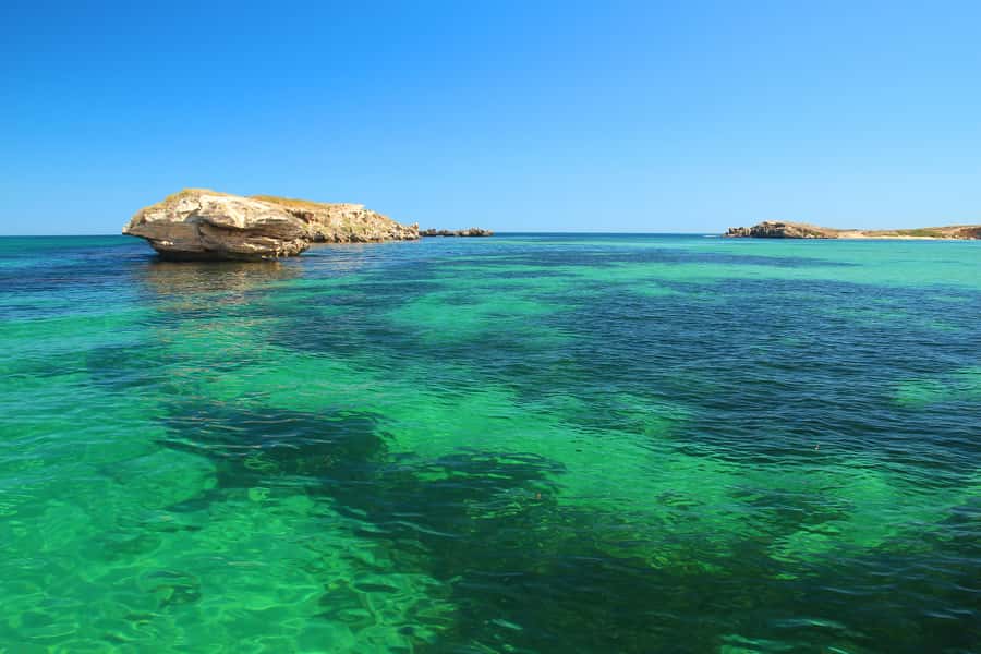 Rockingham: 3 Island Wildlife Snorkeling Cruise with Lunch - Lunch with a view of the marine park