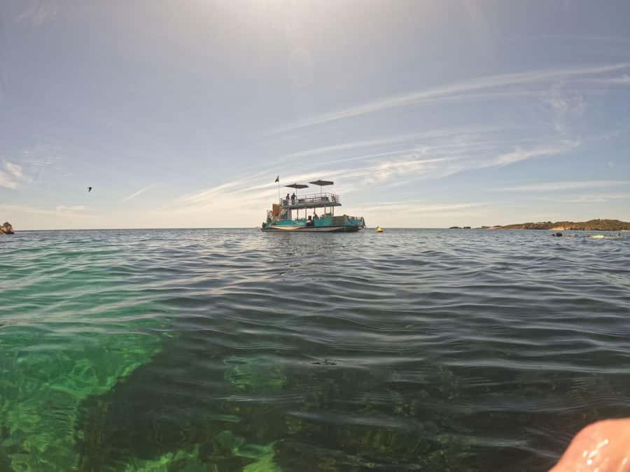 Rockingham: 3 Island Wildlife Snorkeling Cruise with Lunch - Weather, cancellations, and practical limits