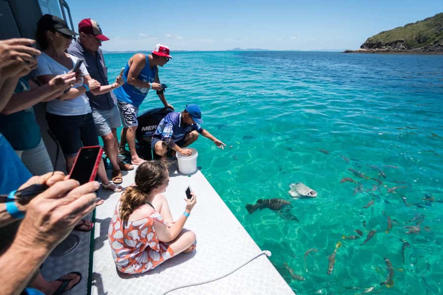 Rosslyn: Great Keppel Island Glass Bottom Boat Tour - What the one-hour glass-bottom boat adds