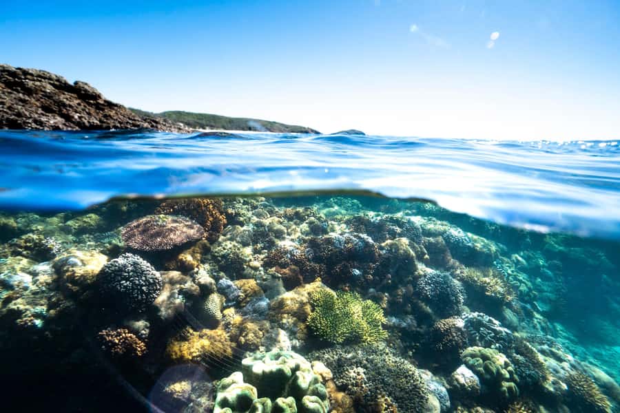 Rosslyn: Great Keppel Island Glass Bottom Boat Tour - Lunch options and the right pace