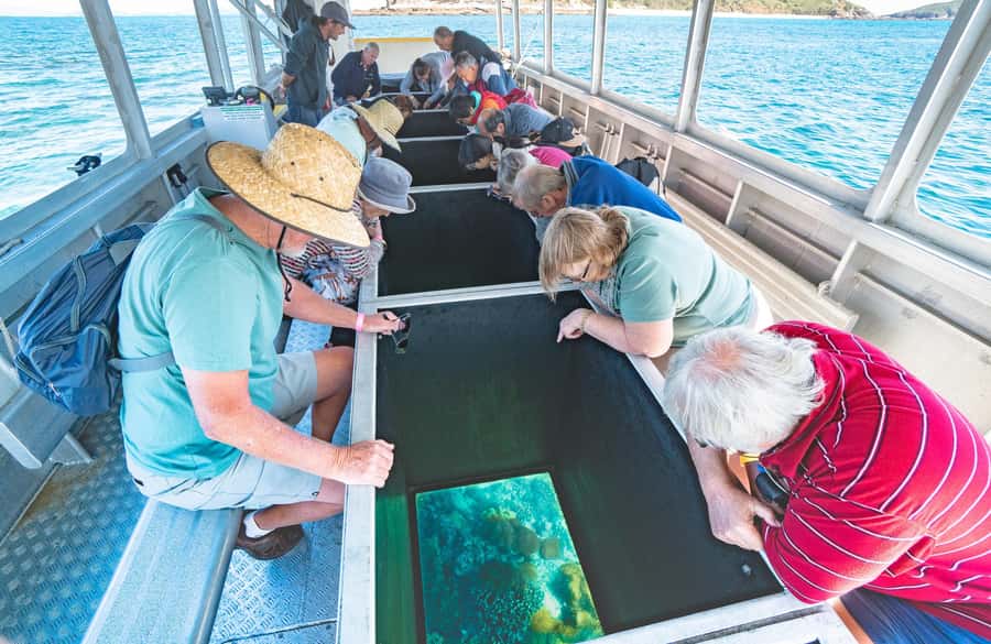 Rosslyn: Great Keppel Island Glass Bottom Boat Tour - From Yeppoon to Fisherman’s Beach