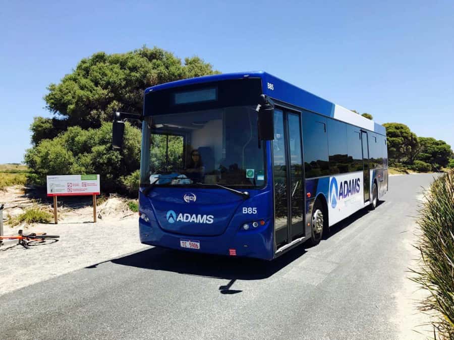 Rottnest Grand Island Package with Ferry, Tour & Light Lunch - Why this package works for a first Rottnest visit