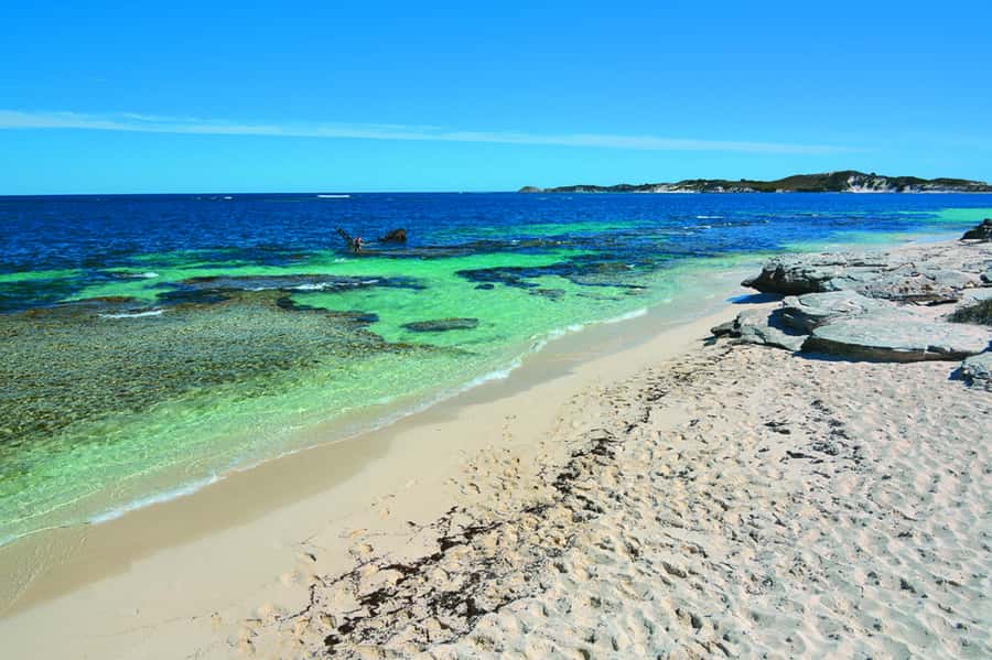 Rottnest Grand Island Package with Ferry, Tour & Light Lunch - Small details that make the day easier
