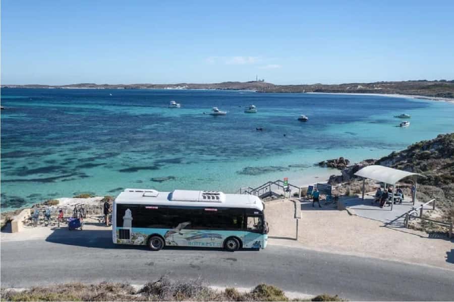 Rottnest Island Ferry and 1.75 Hr Bus Tour - Why the early ferry matters on Rottnest Island