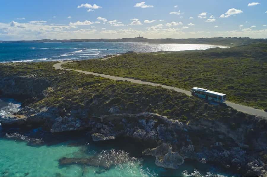 Rottnest Island Ferry and 1.75 Hr Bus Tour - The 1.75-hour bus tour gives you the island’s outline