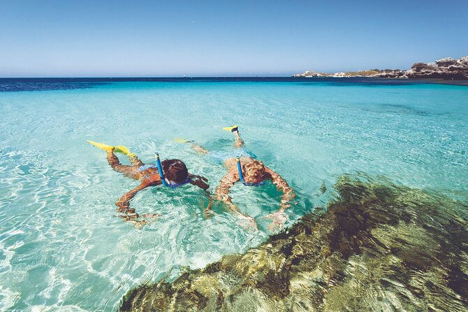 Rottnest Island Round-Trip Ferry from Perth - Key points to know before you go