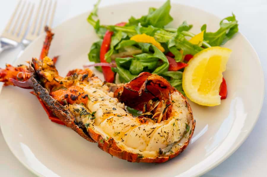 Rottnest: Luxe Island Seafood Cruise - A Four-Hour Taste of Rottnest From the Water