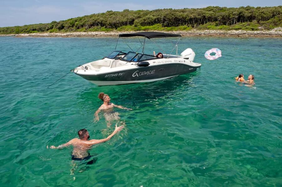Rovinj or Vrsar: Lim Fjord & Rovinj islands Speedboat Tour - Dolphin chances and the best time to go
