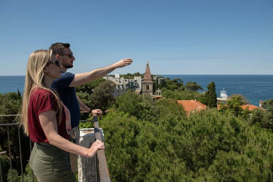 Rovinj or Vrsar: Rovinj Islands and Lim Fjord Speedboat Tour - Vrsar, Figarola, and the first island swims