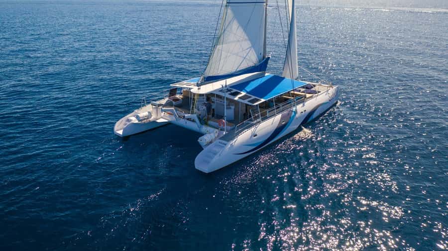 Sal Island Catamaran Cruise with All-inDrinks and Snacks - Should you book the Sal catamaran cruise?