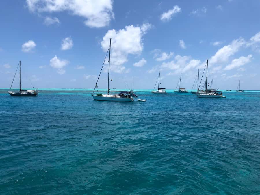 San Andrés: Island Pontoon Boat Tour - The mangrove sector and the ride back