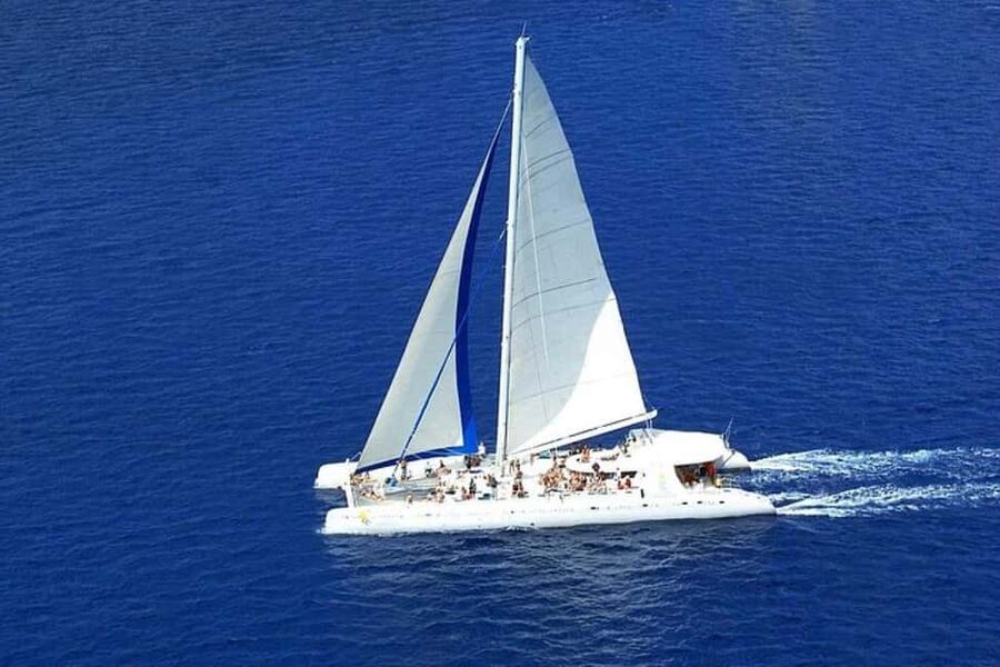 Saona Island: Catamaran/Speedboat Tour to a Dream Beach - Two and a half hours on Saona Island
