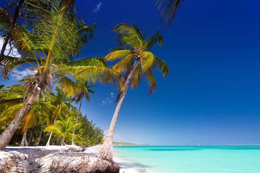 Saona Island: Catamaran/Speedboat Tour to a Dream Beach - Who will enjoy this day most