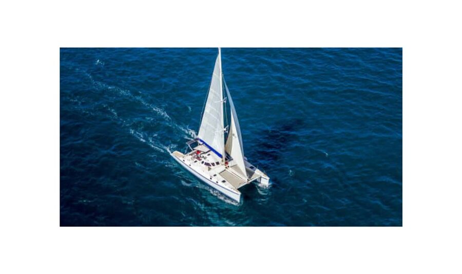 Saona Island From Santo Domingo With Catamaran, Food & Drink - Key points at a glance