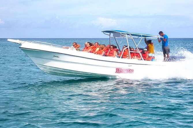 Saona Island Full Day Excursion from Punta Cana + Catamaran Party - Lunch, drinks, and what $79 really covers